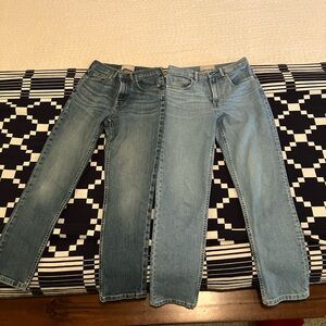 TWO PAIRS Everlane The Cheeky Jean, 25 crop